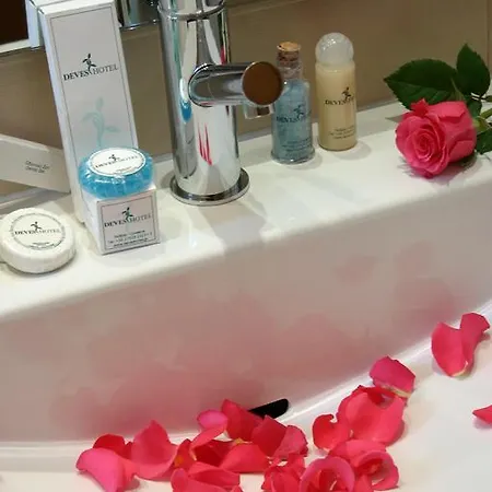 德威斯酒店 纳夫普利翁