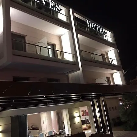 酒店 德威斯酒店 纳夫普利翁