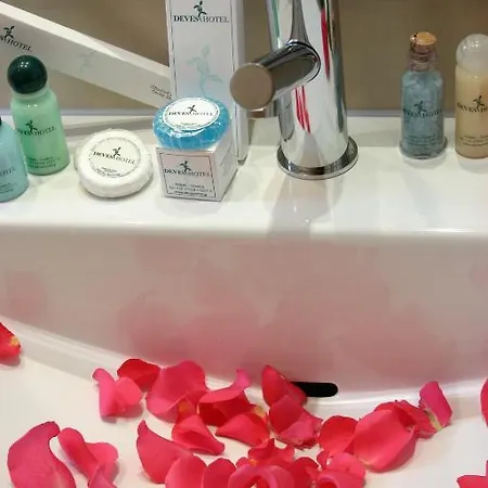 德威斯酒店 酒店 纳夫普利翁